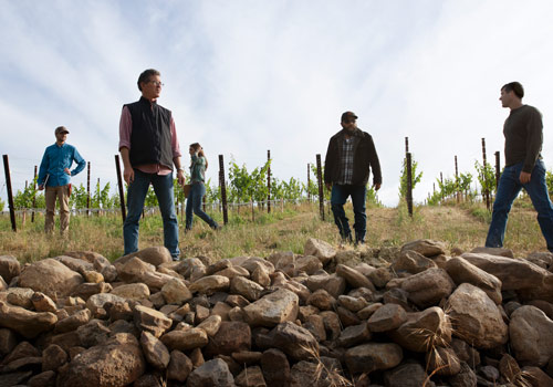 Paul Hobbs and team walk through our estate vineyard in Napa Valley